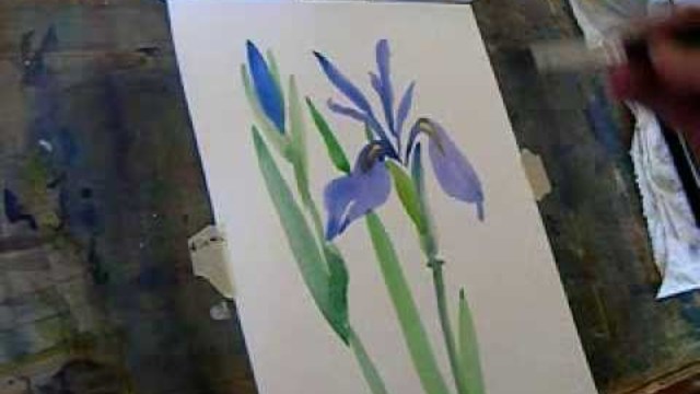 Paint an Iris