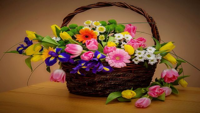 🌷🌱Пъстри пролетни цветя! ... (Music Sergey Chekalin)🌺🌼