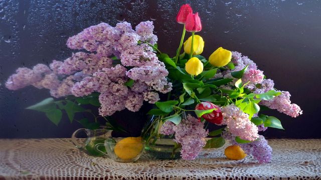 🌷🎶Приятни минути с пролетна красота! ... (Accordion music - Marino Castelli) 🌷🎶