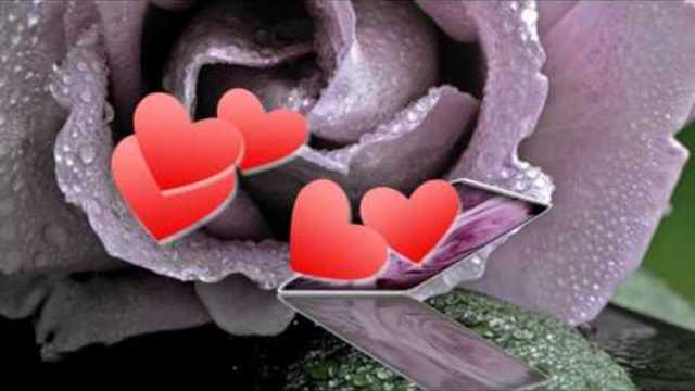 Необычные розы...  Сергей Чекалин  -  Музыка весны