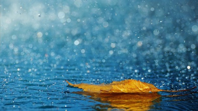 Michael Burks -  Make It Rain