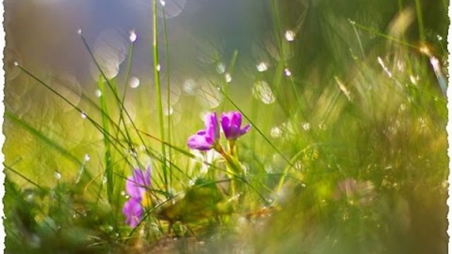 В.  Качан   -   Катится жизнь