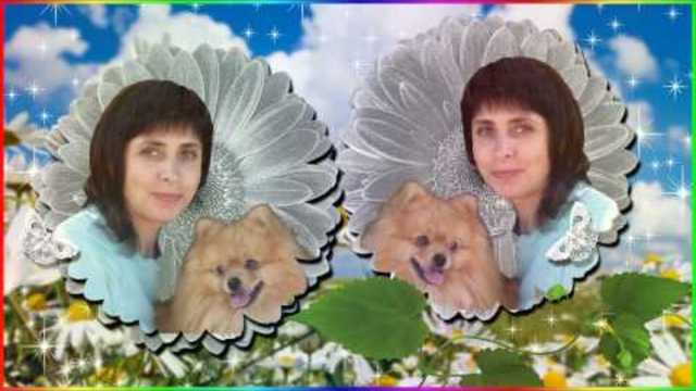 Band ODESSA  -  Ромашка белая