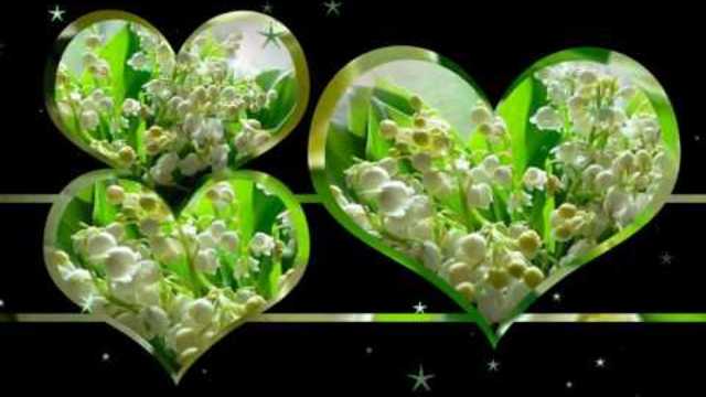 СЕРГЕй ЧЕКАЛИНА    -    ЛАНДЫШИ