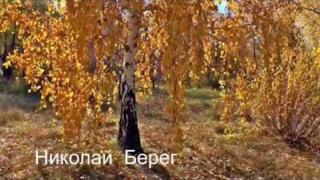 Николай  Берег   -   ТРИ  БЕРЕЗЫ