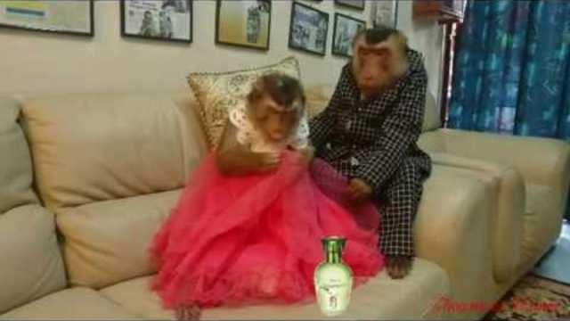 Михаил Шелег   -   Люська -Люська..   прикольн