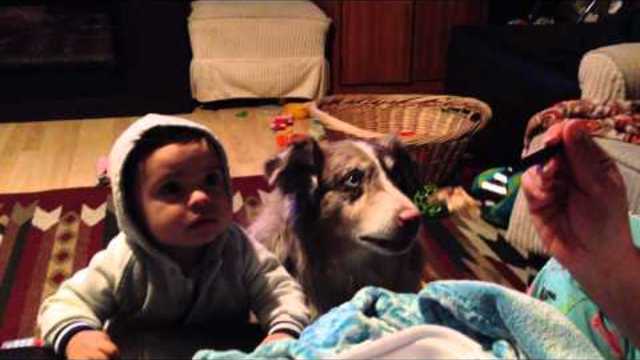 Dog says mama and baby can't