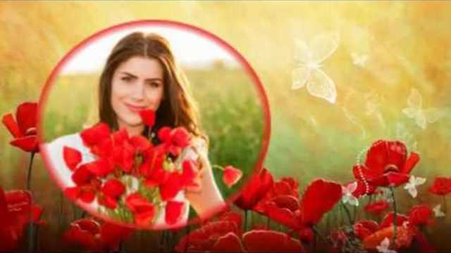 КРАСНЫЕ МАКИ, СОЛНЦЕ НА ЗЕМЛЕ!!!