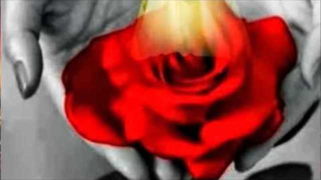 Coce Vinko - Mirno spavaj ružo moja