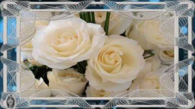 Bijele ruže - Maja Blagdan