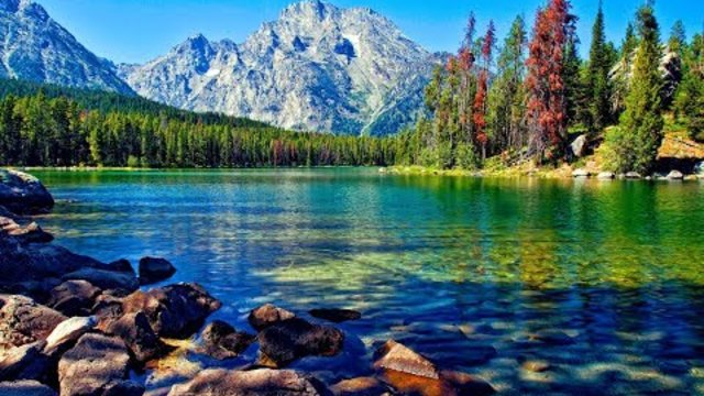 Мирослава Скорика  -  Дивно красива Мелодія