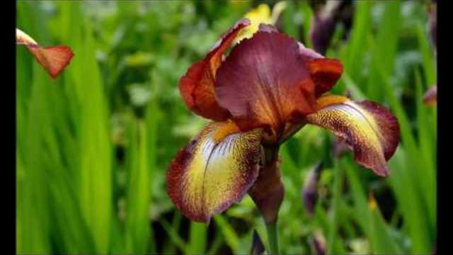 Не проходите мимо красоты