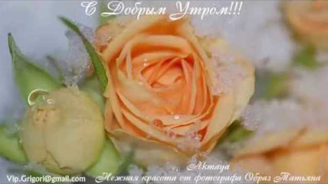 С Добрым утром!   Финская Полька