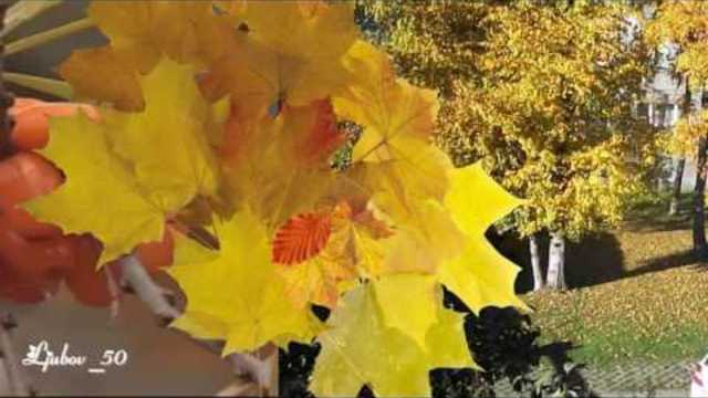 Валерий Новиков   -  Цвет  черемухи