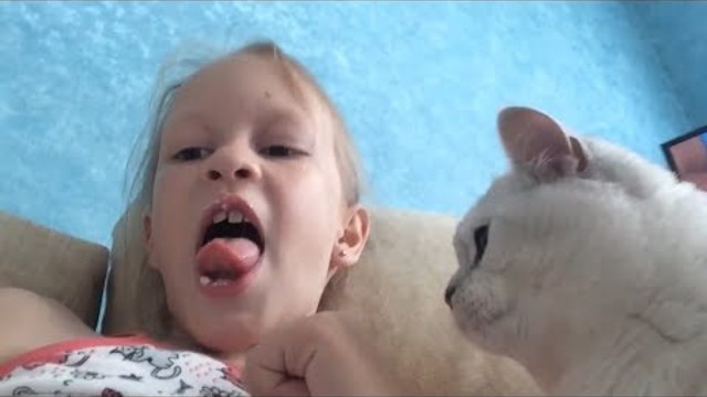 Смешные видео с животными Подборка Приколов 2017