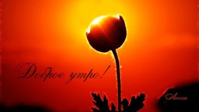 АВРААМ РУССО   -   С  ДОБРЫМ УТРОМ!!!