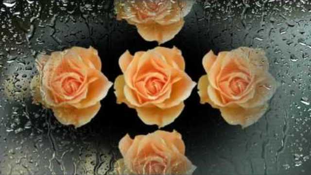 Андрей Обидин    -    РАПСОДИЯ ЛЮБВИ - РОЗЫ И ДОЖДЬ