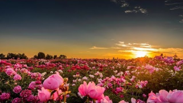 ВАЛЕРИЙ КАПРИЗОВ - Я ЖЕЛАЮ СЧАСТЬЯ ВАМ