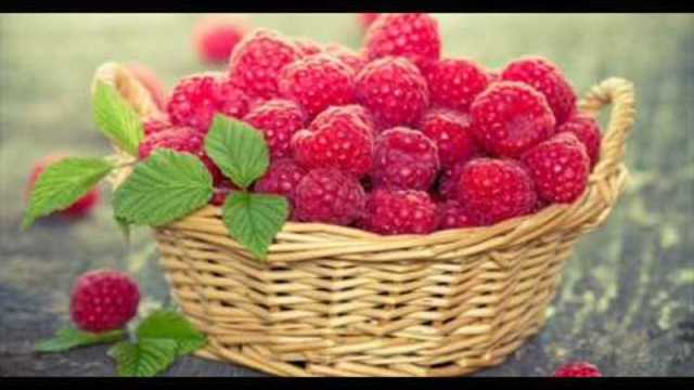 Игорь Ашуров   -   ЯГОДА МАЛИНА