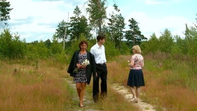 Юлия Боголепова  -  Ромашки спрятались