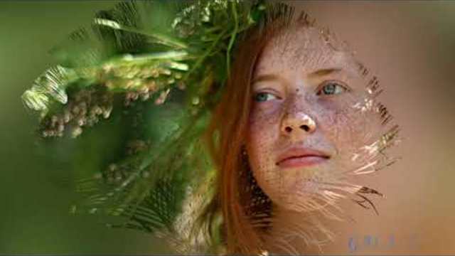 Н. ИЛЬИН  -  РЫЖАЯ