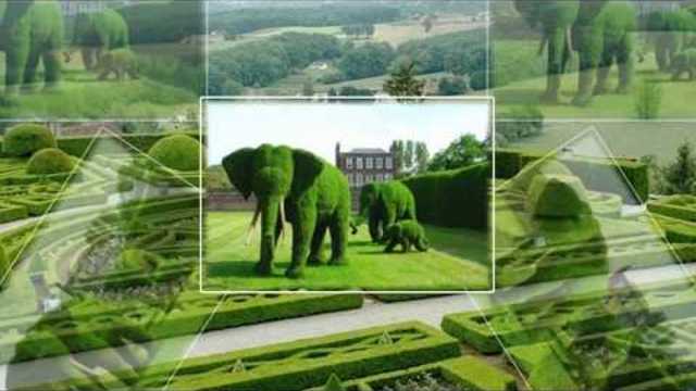 Какая красота! Всем приятного просмотра..