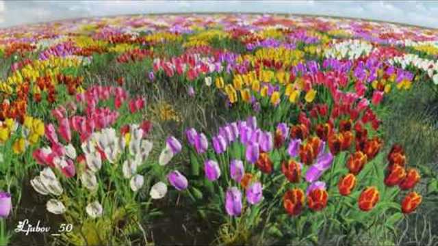 Владимир Кисткин -  Прекрасный день