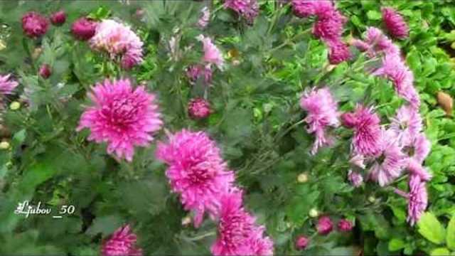 Татьяна Чубарова  -  Миг без тебя