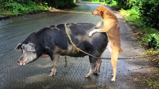 13 Фактов о Китае в которые невозможно поверить