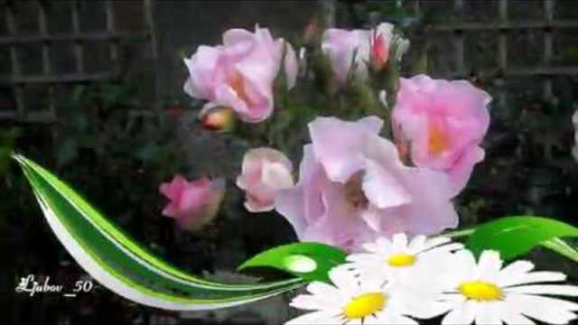 Игорь Двуреченский  -  Признание  в любви