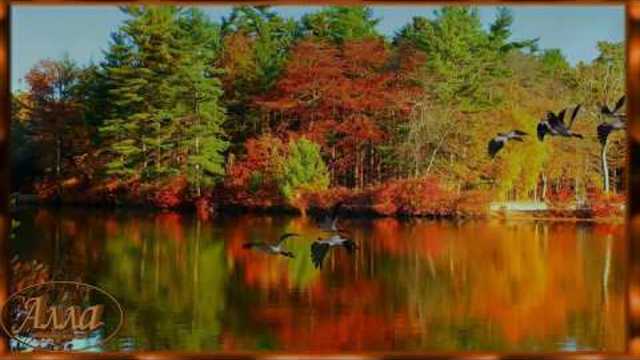 МЕЛОДИЯ    ОСЕНИ!