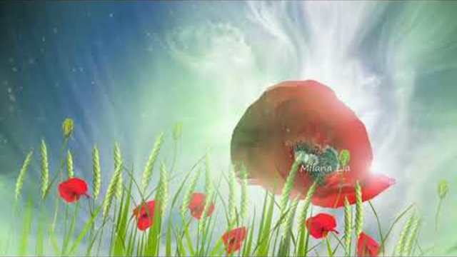 ПЕСНЯ,КОТОРАЯ БЕРЕТ ЗА ДУШУ!