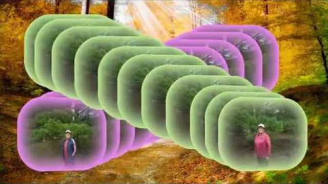 Вячеслав Добрынин - Льется музыка