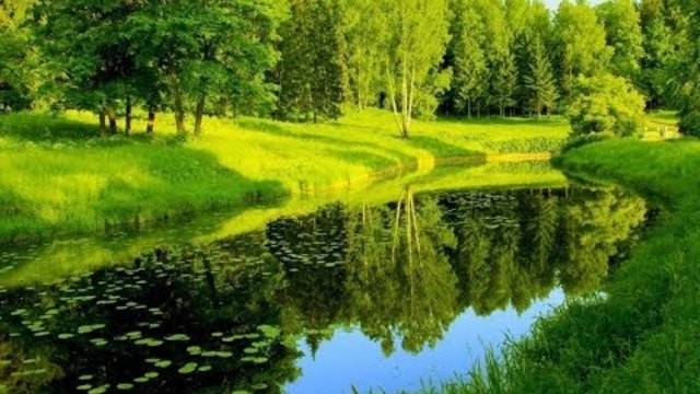 MY ANGEL  музыка Сергей Грищук