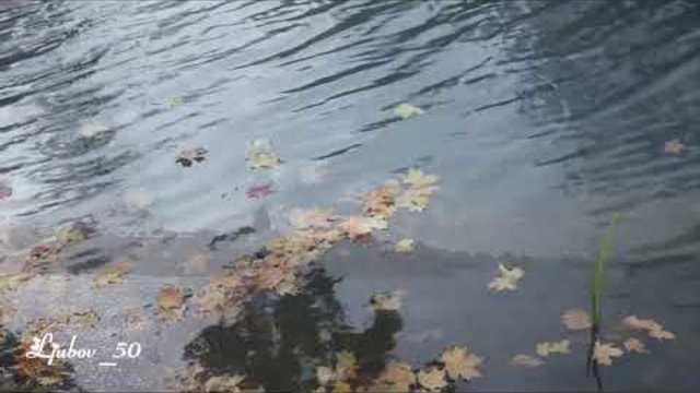 Олег  Лифановский  -  Осень и  Ты