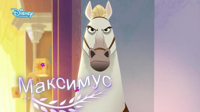 Приключенията на Рапунцел и разбойника | Максимус: профил на коня