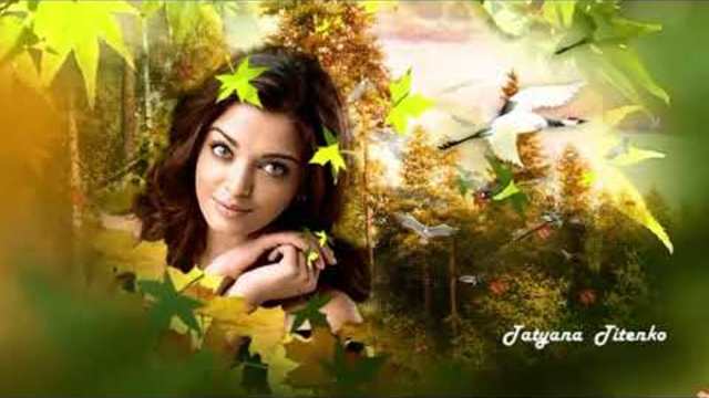 Сергей Ноябрьский – «Наше лето прошло»