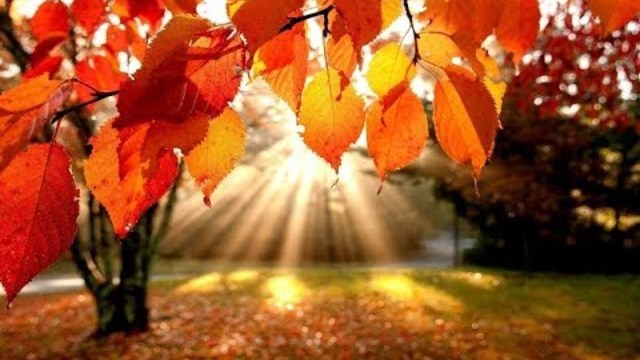 АЛМАС БАГРАТИОНИ - ОСЕНЬ