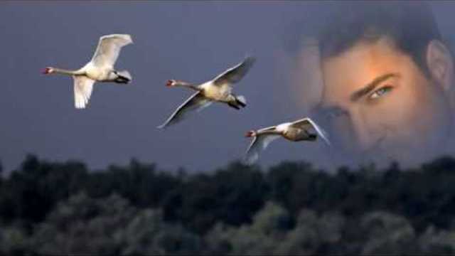 Рустам Бадалов  -  Ты от меня далека