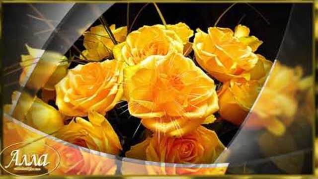 ВЯЧЕСЛАВ  ЕВТЫХ  -  ЖЁЛТАЯ   РОЗА