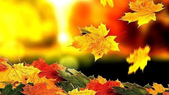 ИГОРЬ ЗУБОВ  -  ОСЕНЬ