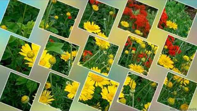 И...    Снова квадраты!!!