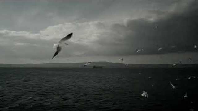 Артем Симонов  -  Одинокая птица