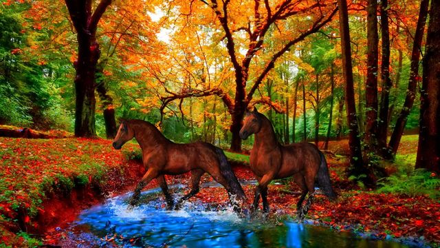 🍂Красотата на есента - животни и  багри! ... (painting)  ...  (Music Eugen Doga)🍁