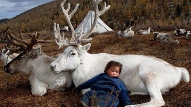 Последните  племена. Эвенки.