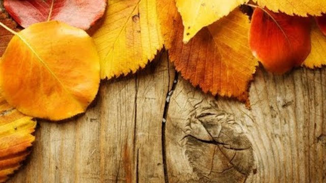 С. Чекалин  -  Осень