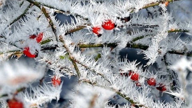 Жанна Колмагорова   -   ХРУСТАЛЬНЫЙ ЗВОН