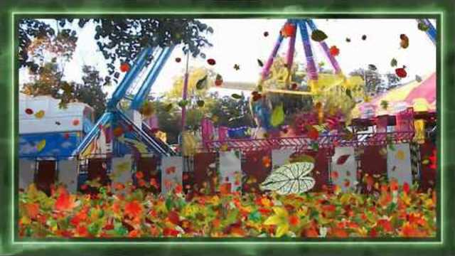 Валерий Залкин  -  Жёлтые листья