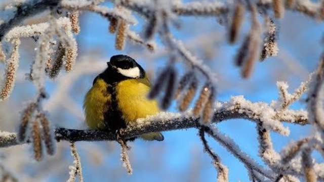 Бегом, навстречу зимней сказке!