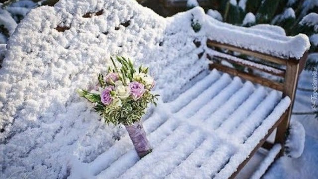 Андрей Обидин   -   СНЕГОПАД